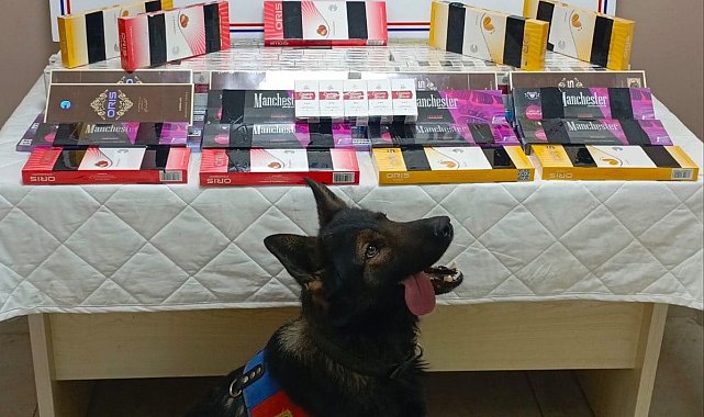 Kayseri'de kaçak sigara operasyonu