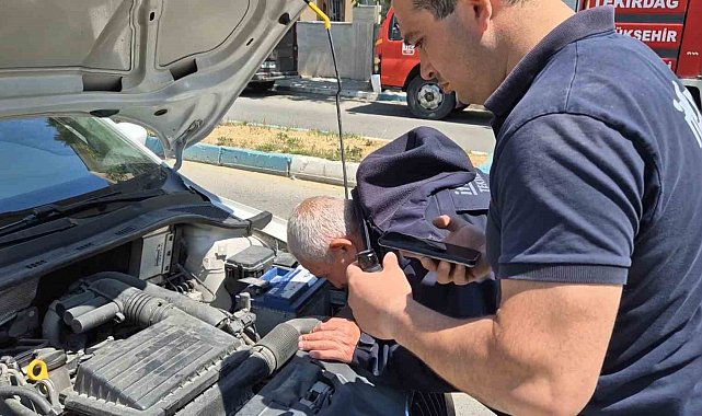 Kedi sesiyle kedi kurtarma operasyonu