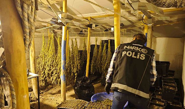Kenevir yetiştirilen gizli seraya polis baskını: 1 tutuklama
