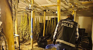 Kenevir yetiştirilen gizli seraya polis baskını: 1 tutuklama
