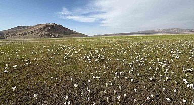 Keşiş Gölü kardelenlerle bezendi