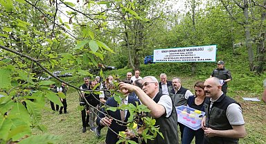 Kestane gal arısına karşı doğa dostu çözüm: Avcı böcek