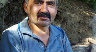 Kestiği ağacın altında kalan adam hayatını kaybetti