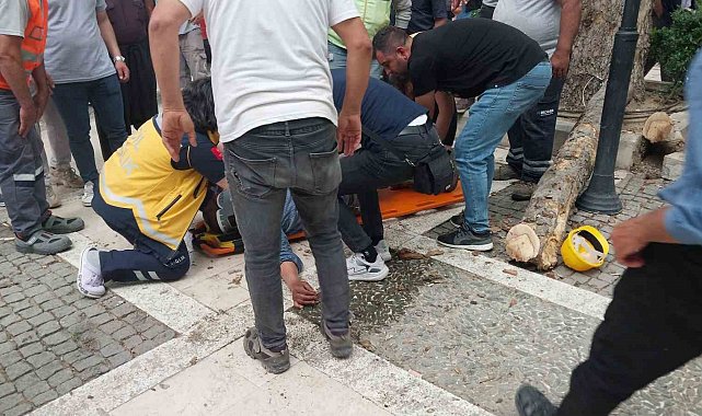 Kestiği dalı ayağıyla iterken düşen işçi ağır yaralandı