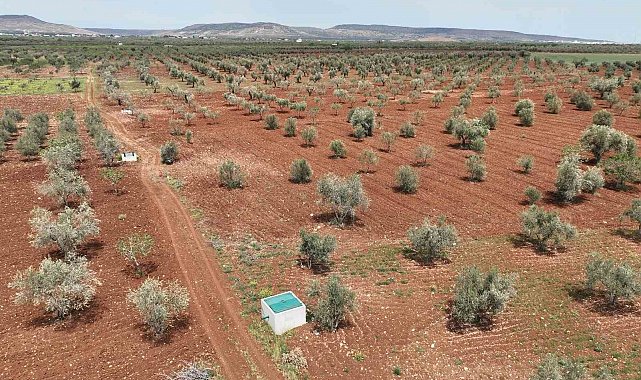 Kilis'te atık sular can suyuna dönüşüyor