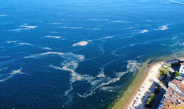 Kınalıada açıklarında müsilaj alarmı, deniz salyası havadan görüntülendi