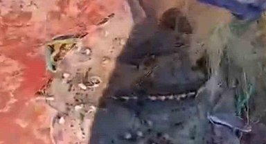 Kırklareli'nde 44 bin metre kaçak ağ toplandı