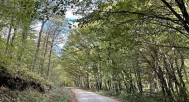 Kırklareli'nde ormanlara giriş 177 gün süreyle yasaklandı