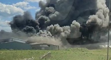 Kocaeli'de boya fabrikasında yangın çıktı