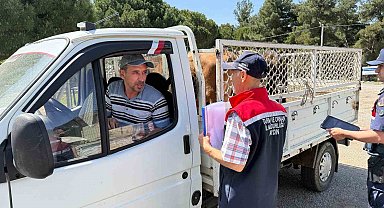 Koçarlı'da canlı hayvan nakil araçları denetlendi