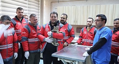 Kocasinan Belediyesi'nden veterinerlik personeline sertifikalı eğitim