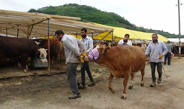 Kol kıran pazarlık