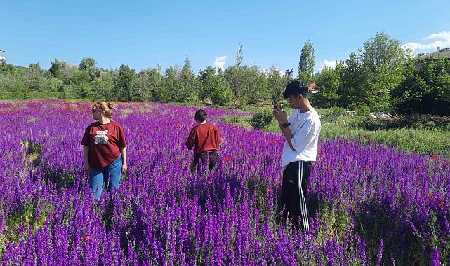 Konya Bozkır'da renk cümbüşü