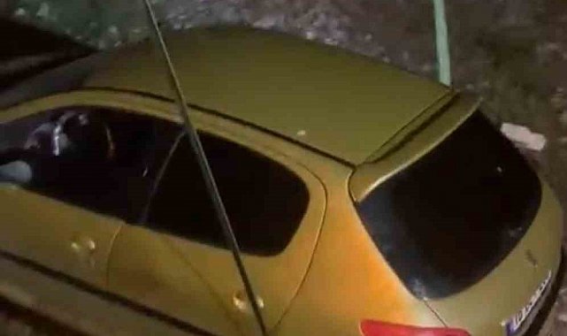 Köpeğe çarpmamak için manevra yaptı, şarampolden uçtu