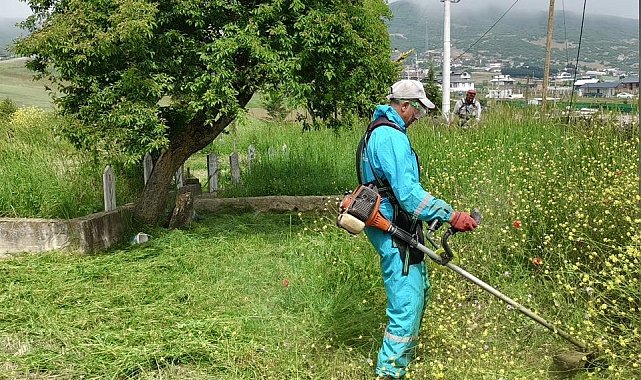 Körfez'de yabani otlarla mücadele sürüyor