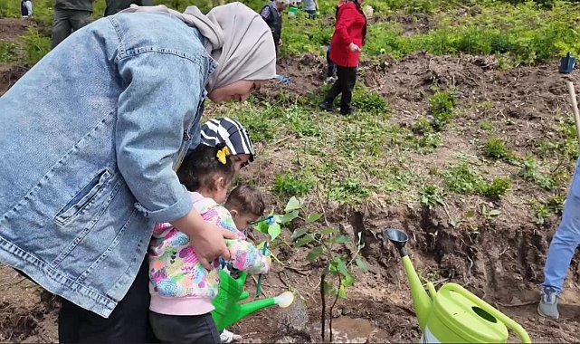 Koruyucu aileler adına 250 ıhlamur fidanı toprakla buluştu