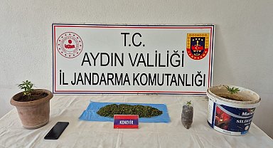 Köşk'te uyuşturucu baskını: 1 gözaltı