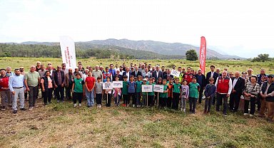 Köyceğiz Döğüşbelen'de 400 dekar meralık alan açıldı