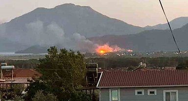 Köyceğiz'de sazlık alanda yangın çıktı