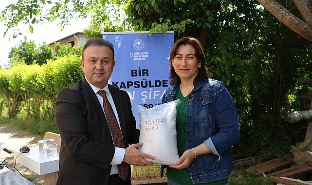 Köyceğizli üreticilere yerli Susam tohumu dağıtıldı