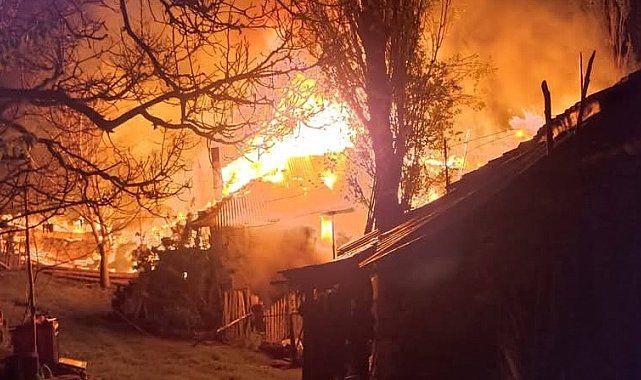 Köyde çıkan yangında 3 ev kullanılamaz hale geldi