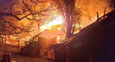Köyde çıkan yangında 3 ev kullanılamaz hale geldi