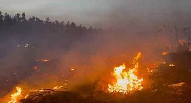 Köylüler ve ekiplerin seferber olduğu yangın kontrol altına alındı