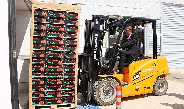 Kula'nın jeotermal serasından Avrupa'ya 500 ton domates ihracatı