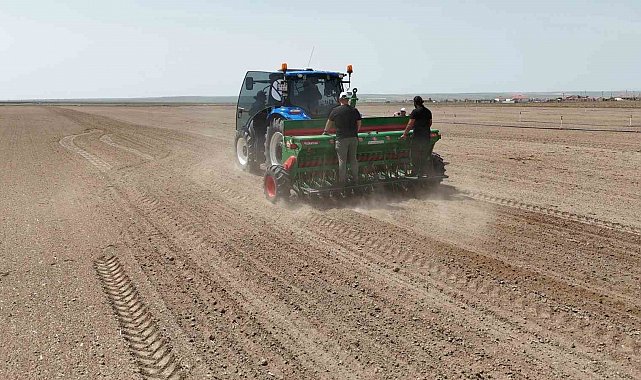 Kulu'da kenevir ekimi başladı