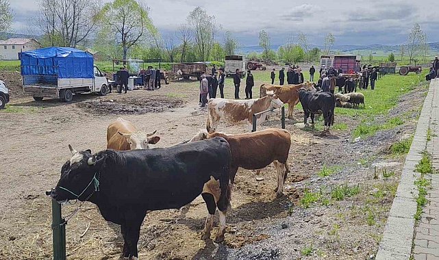 Kurbanlar pazara girdi