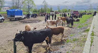 Kurbanlar pazara girdi