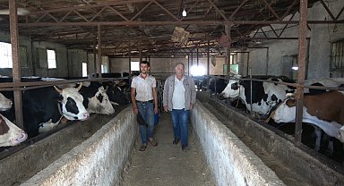 Kurbanlık alırken küpe ve ağırlık uyarısı