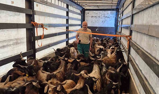 Kurbanlık denetimleri başladı