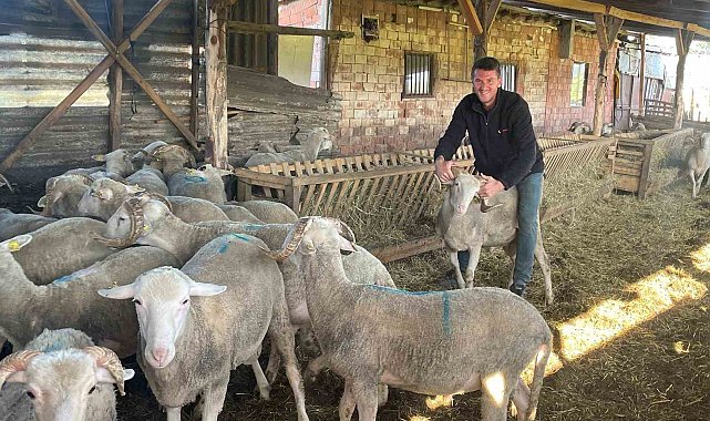 Kurbanlıkları satıp kazancıyla Temmuz ayında evlenecek