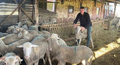 Kurbanlıkları satıp kazancıyla Temmuz ayında evlenecek