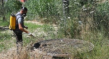 Kuşadası Belediyesi halk sağlığı için vektörel mücadelesini sürdürüyor