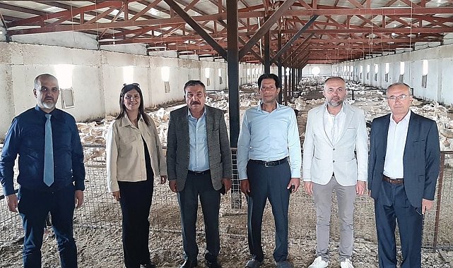 Kütahya'da Pekin ördeği çiftliği