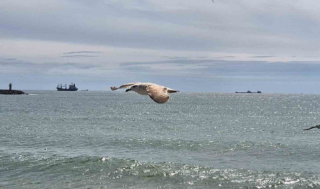 Limana hapsoldular: 5 gündür çıkamıyorlar