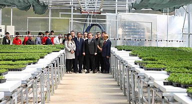 Lise öğrencilerinin ürettiği 200 bin fide toprakla buluşturuluyor