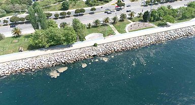 Maltepe sahil şeridinde müsilaj görüldü