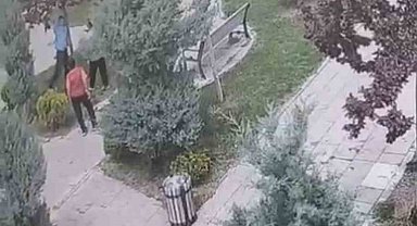 Mardin'de ağaçlara zarar veren bir grup genç, güvenlik kameralarına yakalandı