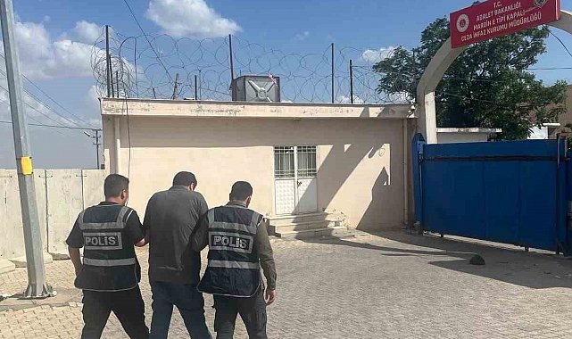 Mardin'de firari 16 şahıs tutuklandı