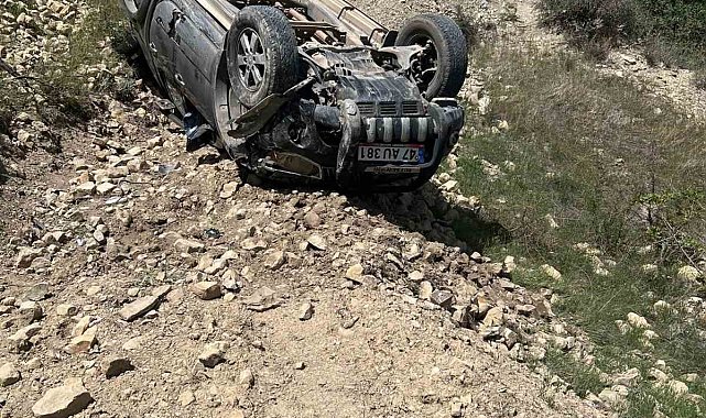 Mardin'de otomobil yamaçtan düştü: 1 yaralı