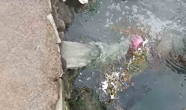 Marmara Denizi'nde kirliliğe neden olan Çınarcık Belediyesi'ne 1,3 milyon lira ceza