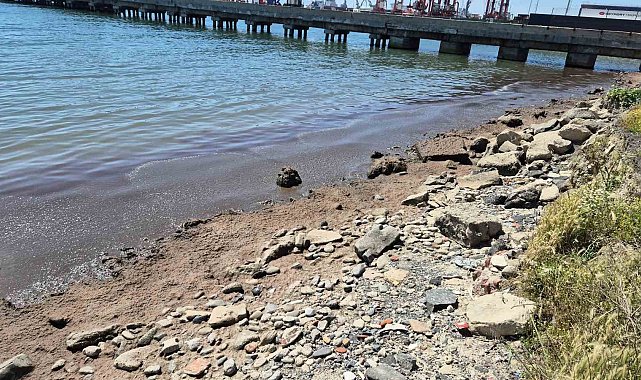 Marmara Denizi'nin Tekirdağ kıyılarında kızıl yosun birikintisi oluştu