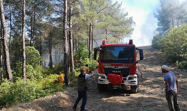 Marmaris'teki orman yangınına müdahale başladı
