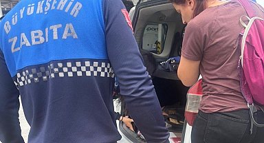 Menteşe otogarında sağlıksız tavuk döner ele geçirildi