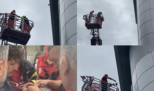 Mersin'de çatıda mahsur kalan güvercini itfaiye kurtardı