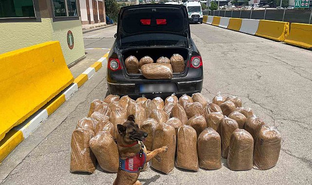 Mersin'de kaçak tütün ve makaron operasyonu: 4 gözaltı