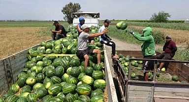 Mersin'de karpuz hasadı başladı